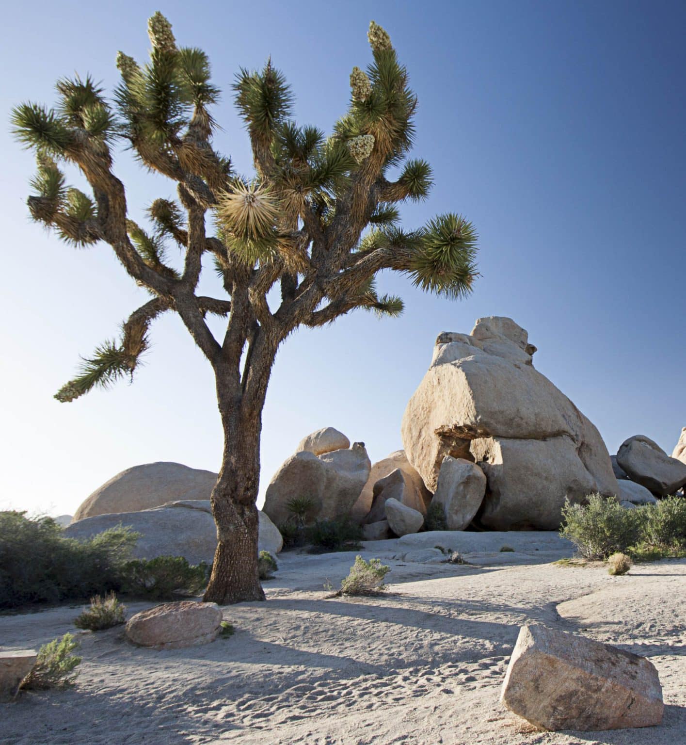 adobestock_138662714