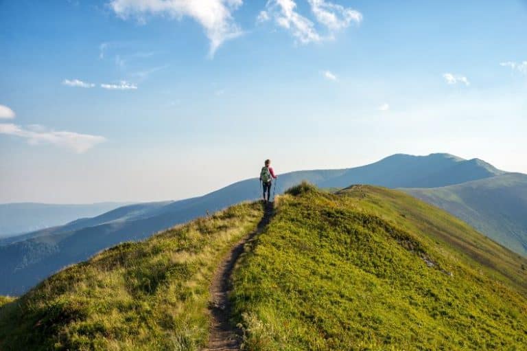 adobestock_213765972